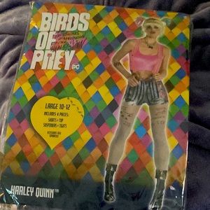 Harley Quinn (Birds of Prey) Cosplay. Large.